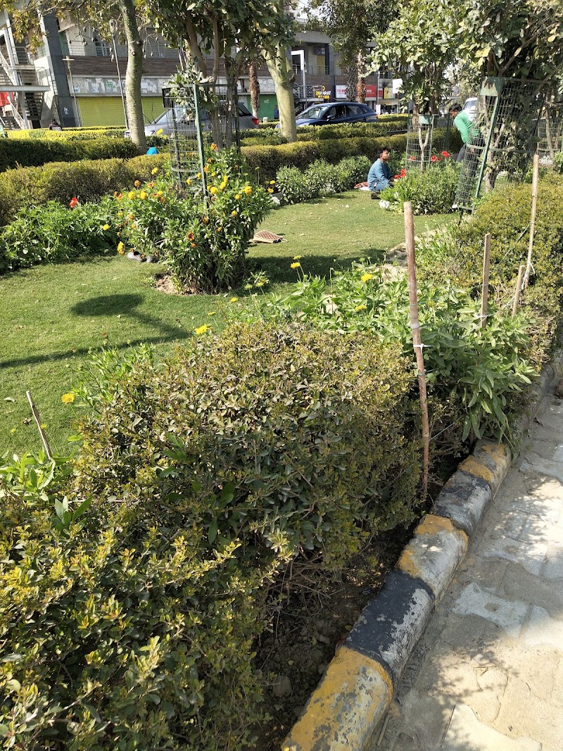 Arcadia - Arcadia Arcadia, South City II, Sector 49, Gurugram, Haryana 122018, India