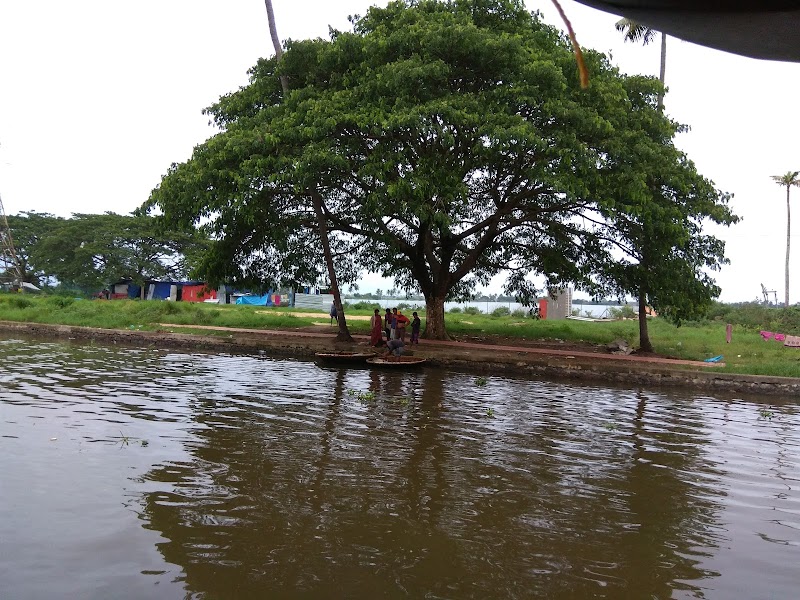 Alleppey boat cruise starting point - Alleppey boat cruise starting point, jetty road, near Punnamada, Punnamada, jetty, Alappuzha, Aryad South, Kerala 688006, India