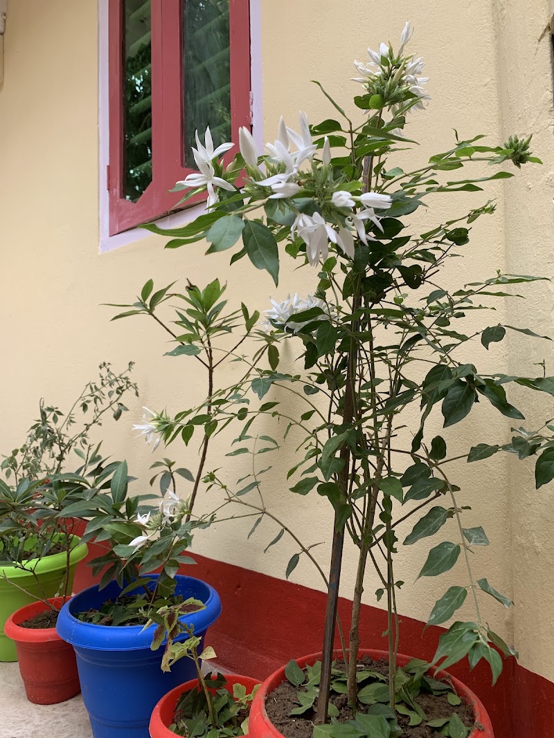 SRI JAGANNATH PURI DARSHAN HOME STAY - SRI JAGANNATH PURI DARSHAN HOME STAY, HOUSE NO-25, 62H, Lane, near SCS COLLEGE, Puri, Odisha 752001, India