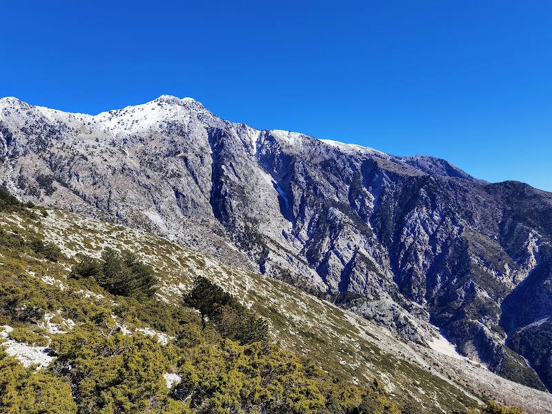 Llogara National Park - Llogara National Park, 6H7G+535, SH8, Albania