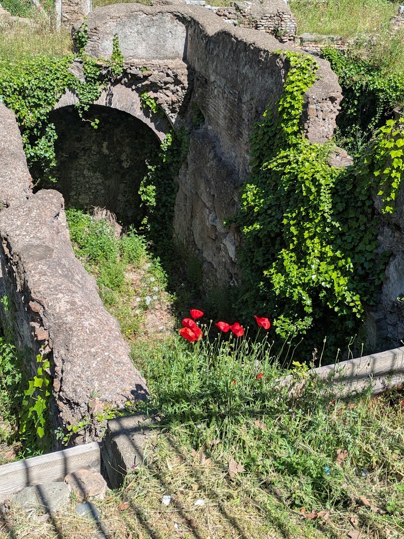 Scavi del Ghettarello - Scavi del Ghettarello, Piazza di Monte Savello, 10, 00186 Roma RM, Italy