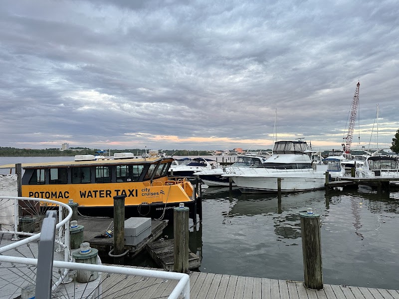 Potomac Water Taxi - Alexandria - Potomac Water Taxi - Alexandria, 0 Cameron St, Alexandria, VA 22314, USA