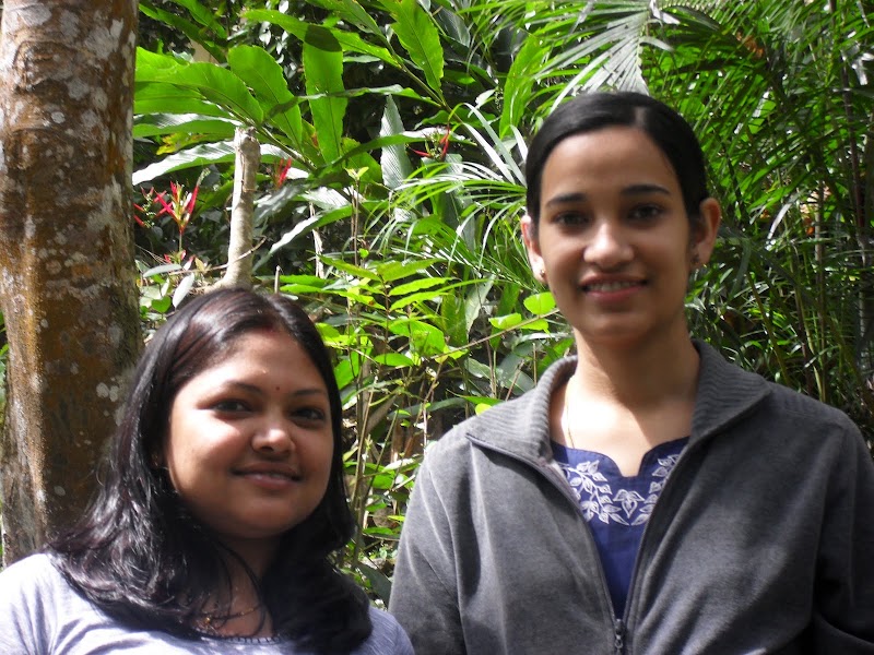 The spice garden (Umesh) - The spice garden (Umesh), Munnar - Kumily Hwy, Pooppara, Keralam 685619, India