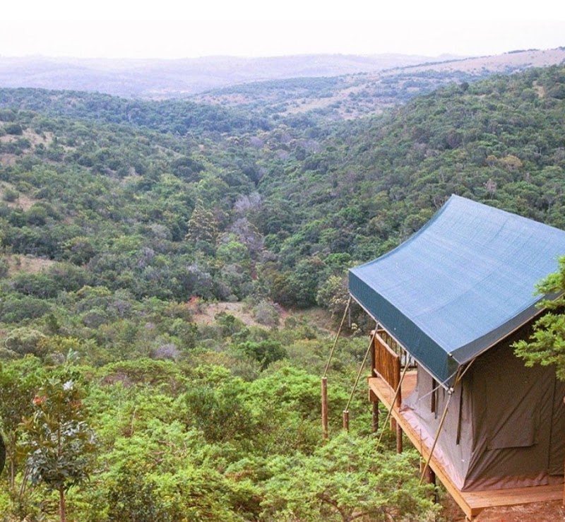 Inkwenkwezi Private Game Reserve - Inkwenkwezi Private Game Reserve, Schafli Rd, Chintsa West, KuGompo City, 5200, South Africa