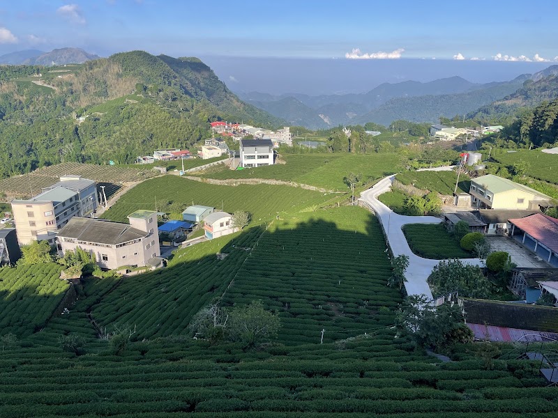 Mist Trail - Mist Trail 604, Taiwan, Chiayi County, Zhuqi Township, 16