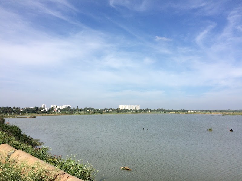 Hoskote Lake - Hoskote Lake, Amanidoddakere, Karnataka