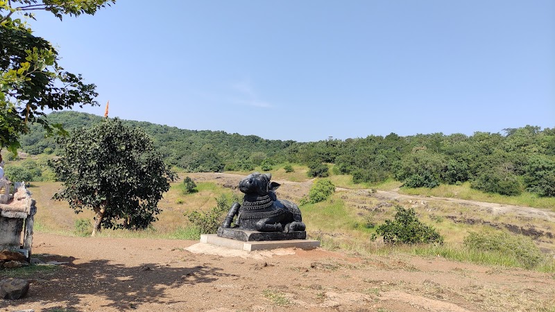 Ananthagiri Hills Viewpoint - Ananthagiri Hills Viewpoint, 8V26+MMM, Godamguda, Telangana 501102, India
