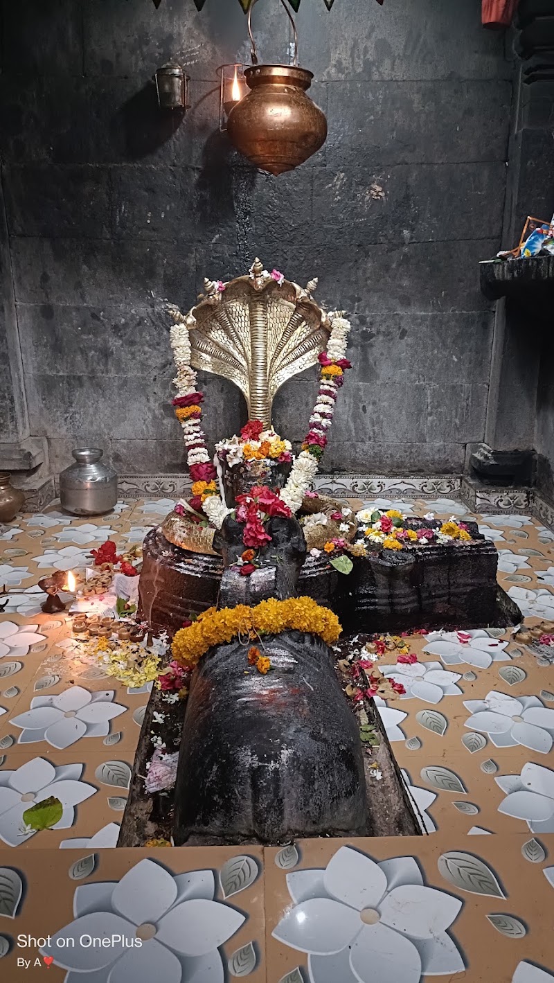 Shri Bhimashankar Temple - Shri Bhimashankar Temple, 5992+8Q7, Taka, Maharashtra 413520, India