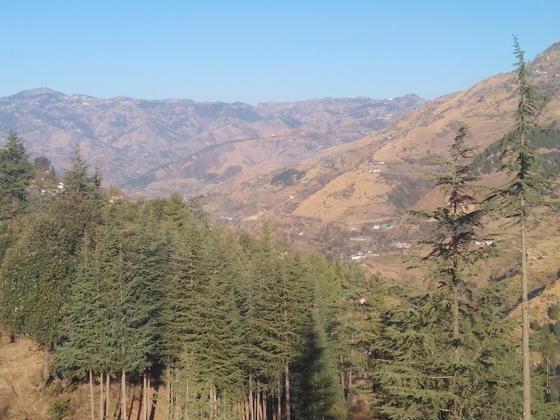 CHANDEL FOREST - CHANDEL FOREST 3C3Q+289, Darghot, Himachal Pradesh 171220, India