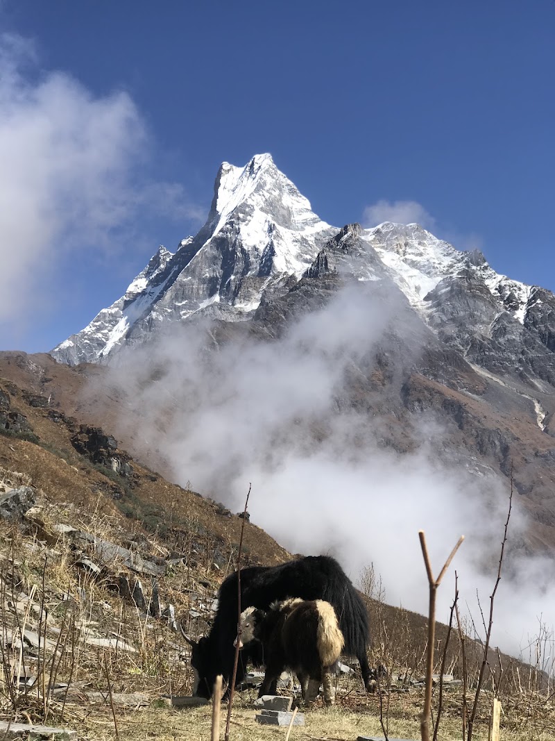 Mardi himal - Mardi himal Mardi himal, 33700, Nepal
