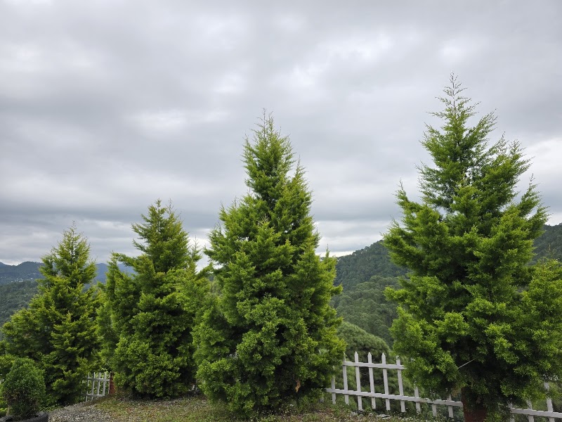 Nature Loch HomeStay - Nature Loch HomeStay Front of Shiva Temple, Surya Gaon, Sattal, Suriyagaon, Uttarakhand 263127, India