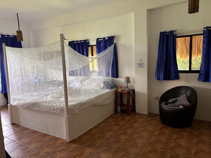 The Blue Orchid Resort - The Blue Orchid Resort Moalboal, Cebu, Philippines
