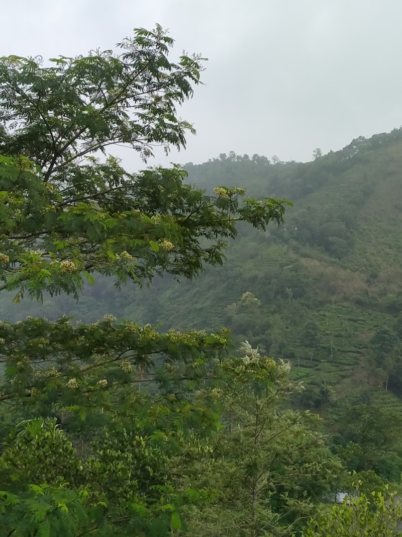 lovedales - lovedales Vagamon, Keralam 685503, India