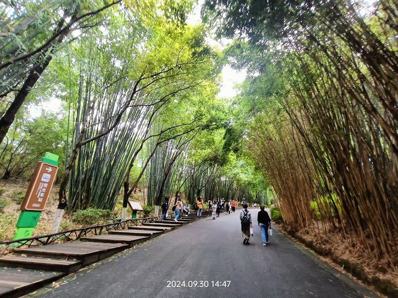 Chengdu Research Base of Giant Panda Breeding - Chengdu Research Base of Giant Panda Breeding 1375 Xiong Mao Da Dao, Cheng Hua Qu, Cheng Du Shi, Si Chuan Sheng, China, 610016