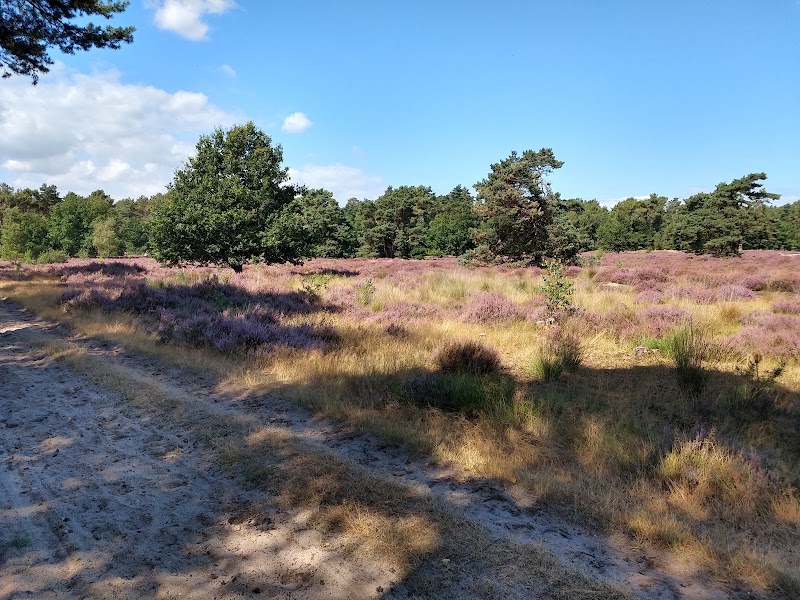 The Loonse and Drunense Duinen National Park - The Loonse and Drunense Duinen National Park, 5151 RG Drunen, Netherlands