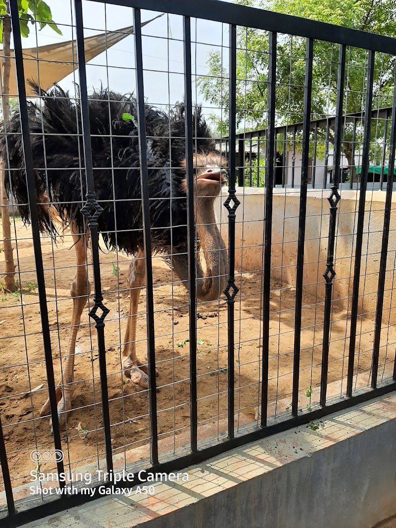 Rajali Birds Park