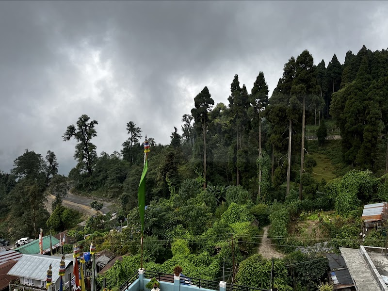 डुवर्स को ग्रीन सिटी Dooars Green City - डुवर्स को ग्रीन सिटी Dooars Green City, Adarshapally Line 2, Banarhat Tea Garden, West Bengal 735203, India