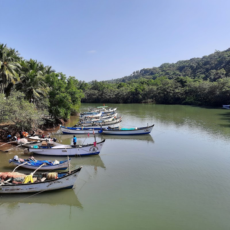 Backwaters Palolem - Backwaters Palolem Canacona, Goa 403702, India