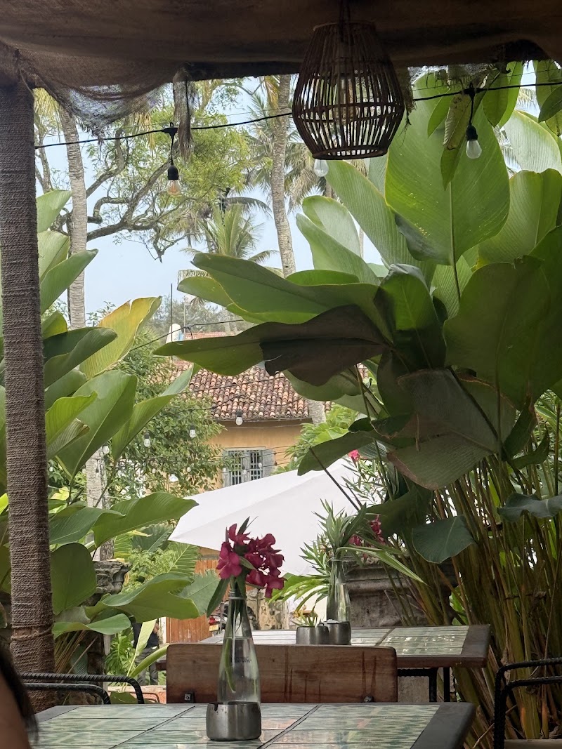 Ceylon Curry House Galle Fort - Ceylon Curry House Galle Fort, 36 Middle St, Galle 80000, Sri Lanka