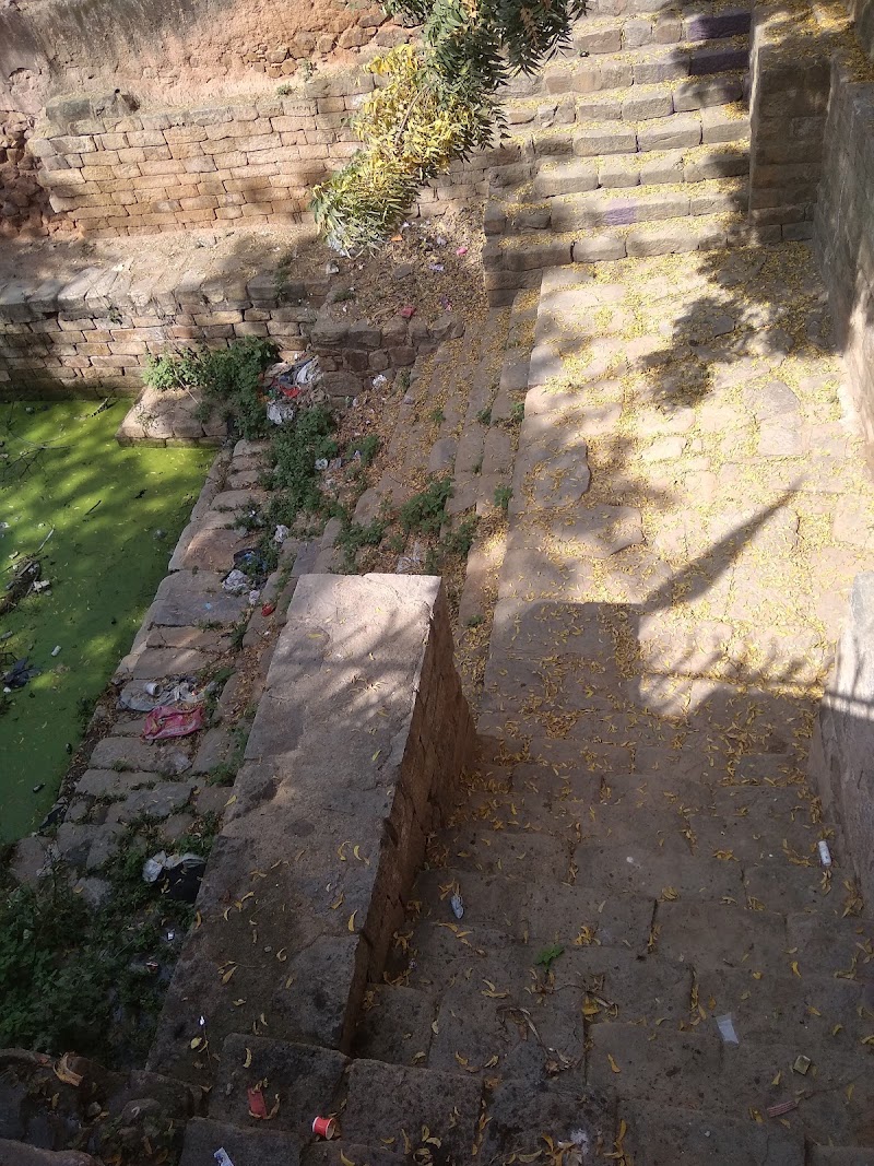 The Gandhak ki Baoli - The Gandhak ki Baoli, T 22/8, near water tank firdausi masjid, Ward No 8, Mehrauli Village, Mehrauli, New Delhi, Delhi 110030, India