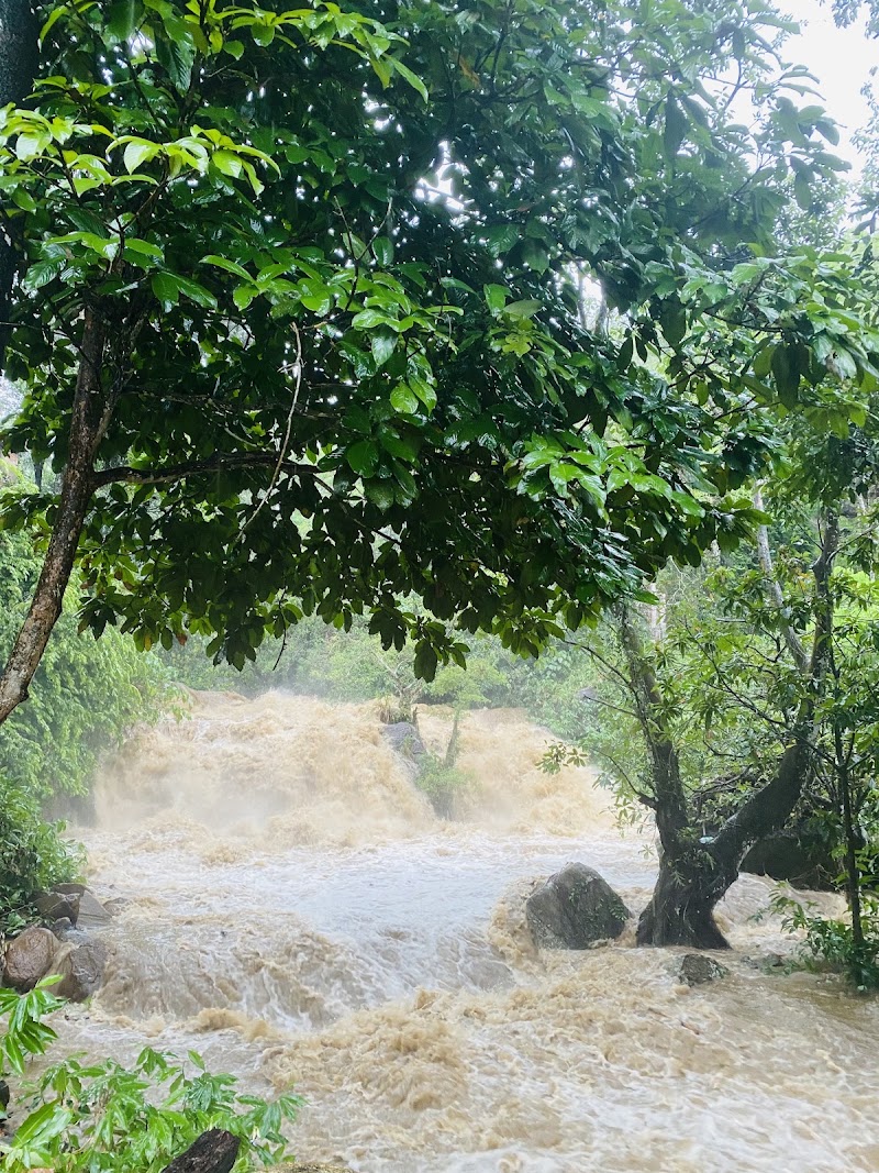 Biso Dola Ella - Biso Dola Ella, V78C+9WC, Dehiowita Road, Eheliyagoda, Sri Lanka
