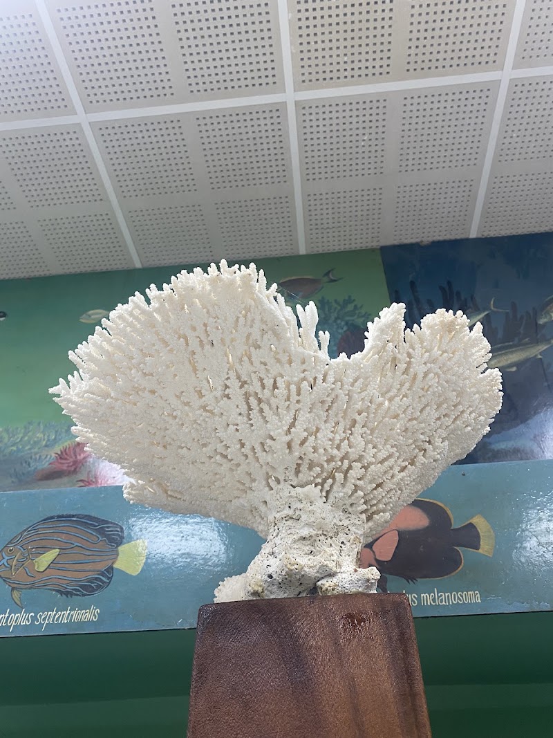 Marine Aquarium and Museum - Marine Aquarium and Museum, HJGR+H4J, Kavaratti, Lakshadweep 682555, India