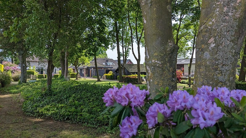 B&B Berghs Buitenleven - B&B Berghs Buitenleven, Burgemeester van Erpstraat 47, 5351 AS Berghem, Netherlands