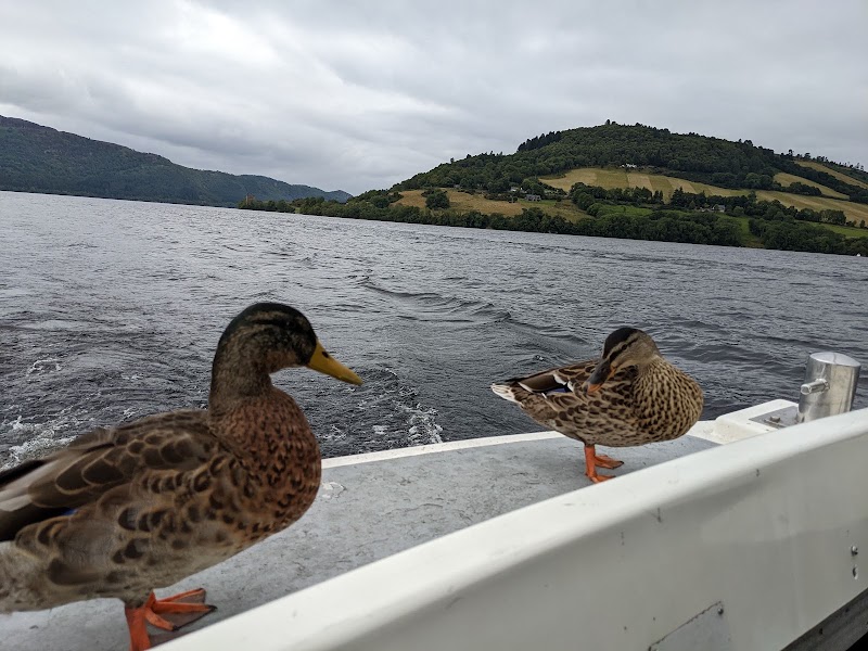 Castle Cruises Loch Ness - Castle Cruises Loch Ness, Loch Ness Hub & Travel, Drumnadrochit, Inverness IV63 6TX, UK