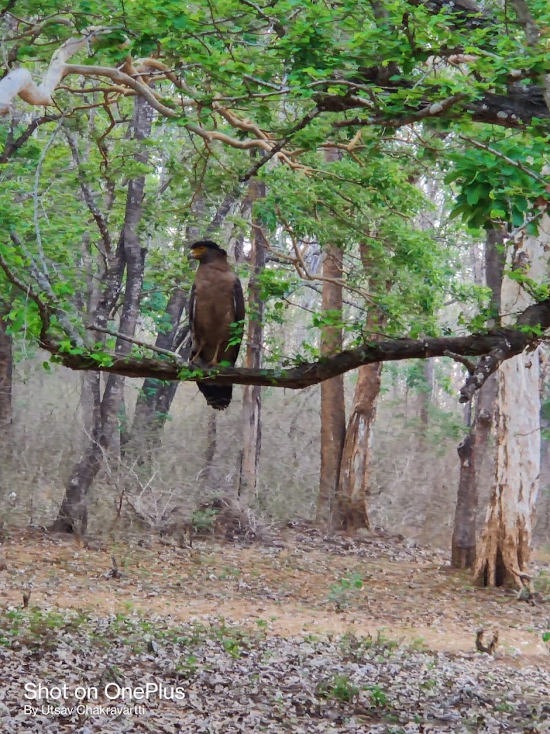 Nagarhole national park entrance from Kabini side - Nagarhole national park entrance from Kabini side, W6VP+WQF, Nisna, Karnataka 571114, India