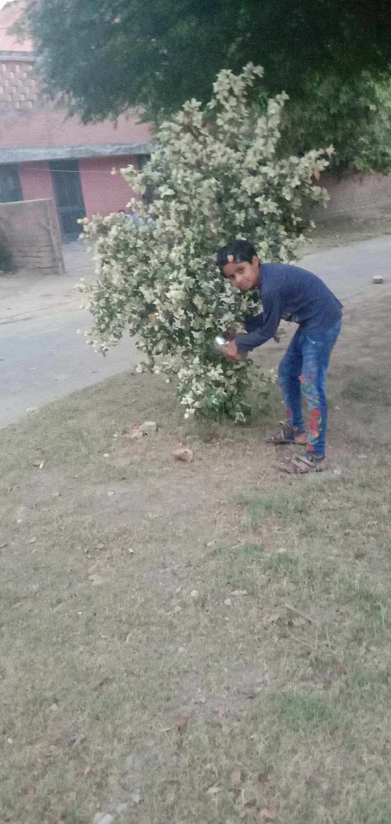 Tau devi lal park - Tau devi lal park Model Town Extension, 4QH2+5M7, Udyog Nagar, New Model Town, Model Town Extension, New Model Town Exyension, New Model Town, Hisar, Haryana 125005, India