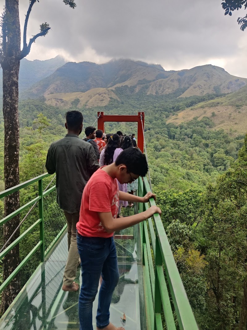 Glass Bridge 900 Kandi Wayanad - Glass Bridge 900 Kandi Wayanad Thollayiram estate road, Puthumala, po, Kalladi, Meppadi, Kerala 673577, India