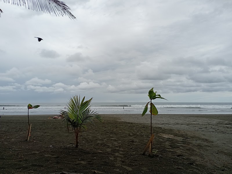 Playa Jacó, Costa Rica - Playa Jacó, Costa Rica, J95F+CQ, Puntarenas Province, Jaco, Barrio El INVU, Costa Rica
