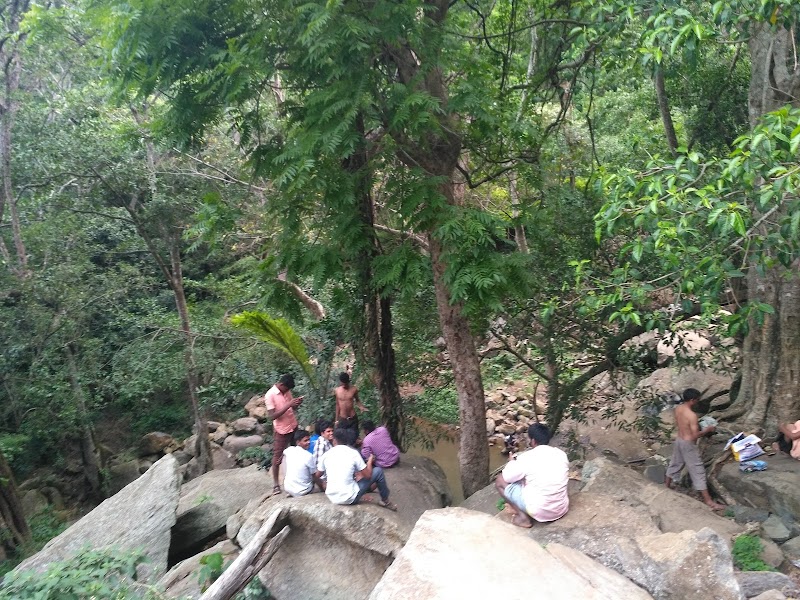 Kiliyur Falls - Kiliyur Falls Q6W2+CF7, Killiyur Road, Kiliyur, Tamil Nadu 636602, India