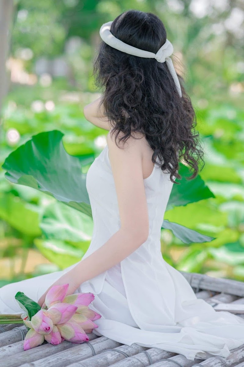 Đầm sen Hành Cung Vũ Lâm Ninh Thắng - Đầm sen Hành Cung Vũ Lâm Ninh Thắng, 6X83+W63, Nam Hoa Lu, Ninh Binh, Vietnam