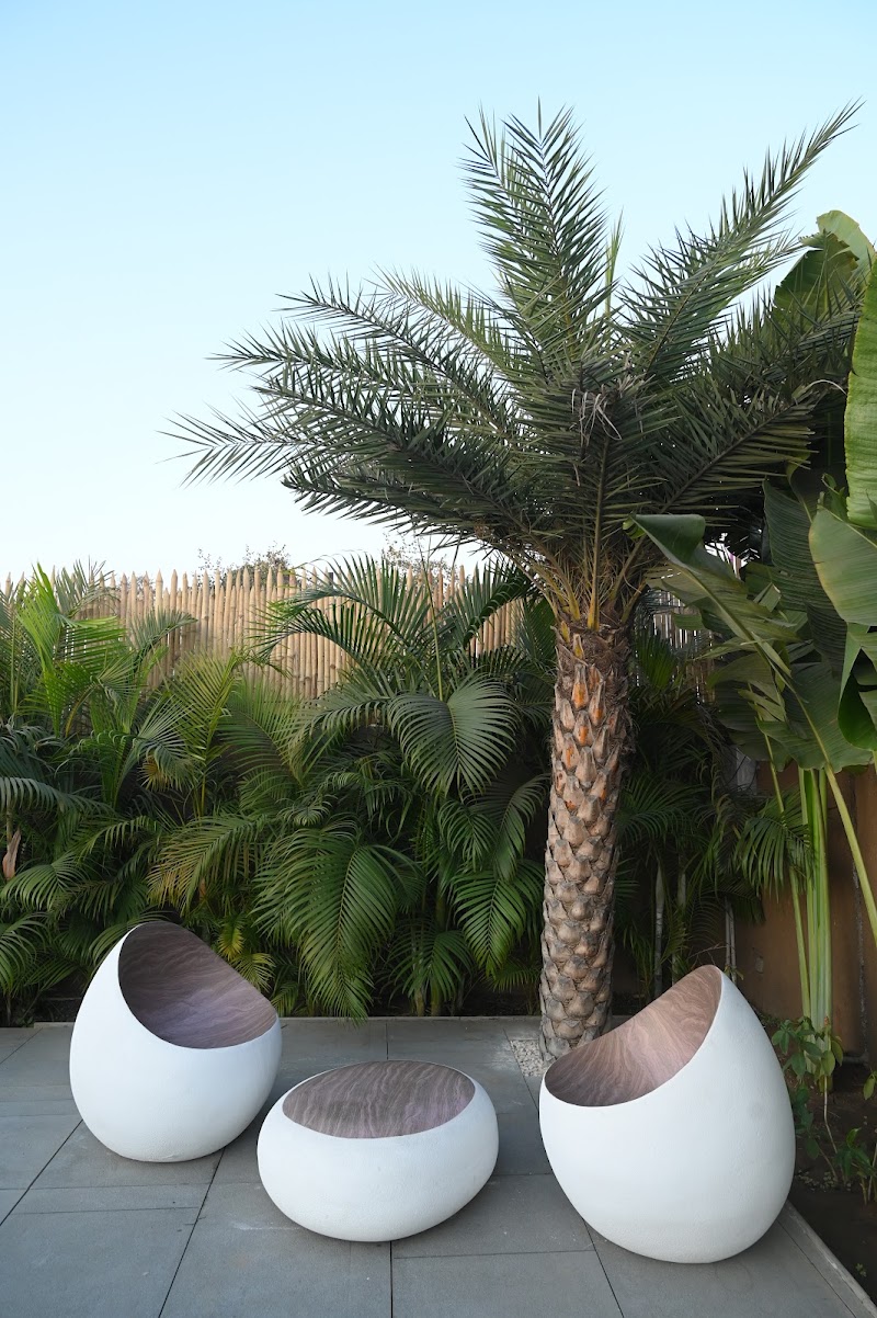Whispering Woods - Whispering Woods 264W+M3, Ankdih, Chhattisgarh 495551, India