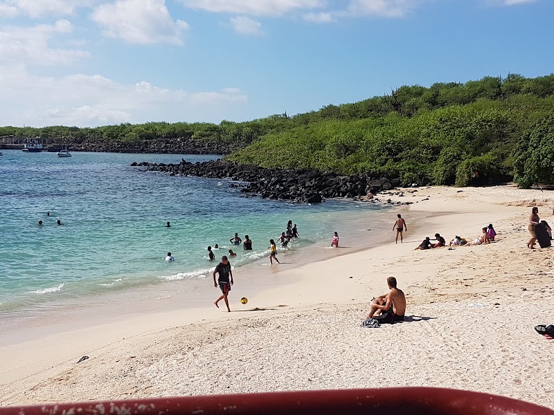 Playa Mann
