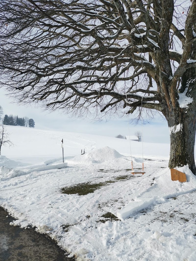 Zur Grossen Linde - Zur Grossen Linde Benzenrüti 1, 9410 Heiden, Switzerland