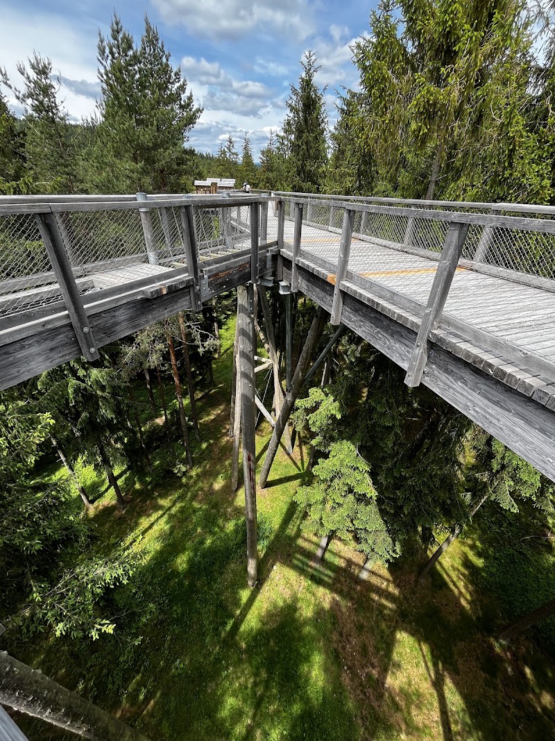 Treetop Trail Lipno - Treetop Trail Lipno, Lipno nad Vltavou 307, 382 78 Lipno nad Vltavou, Czechia