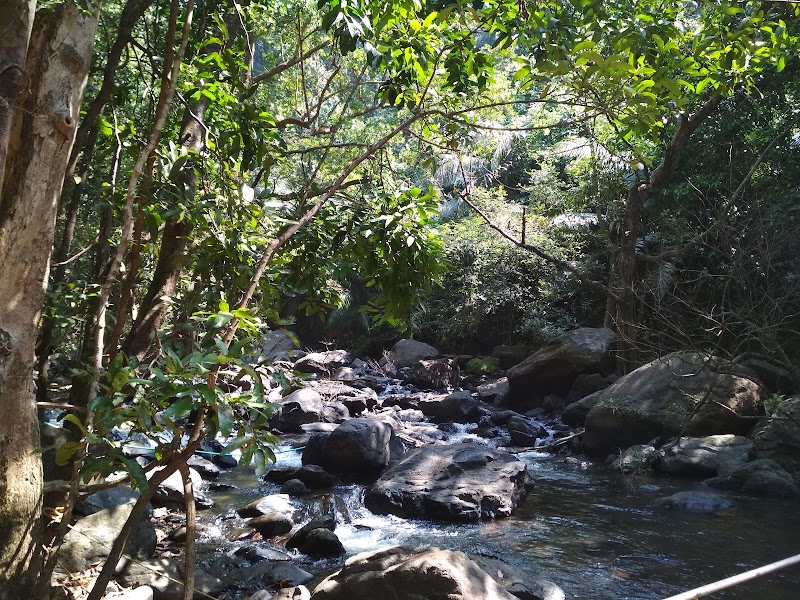 Dudhsagar Falls - Dudhsagar Falls Sonauli, Goa 403410, India