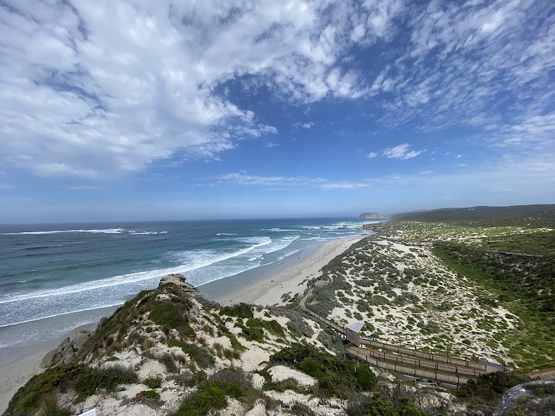 Seal Bay Conservation Park - Seal Bay Conservation Park, Seal Bay Rd, Seal Bay SA 5221, Australia