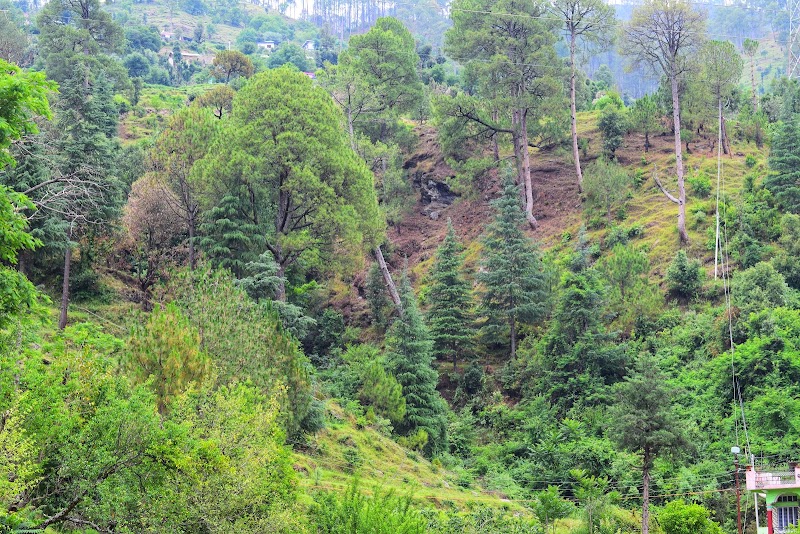 Hotel Parash Palace - Hotel Parash Palace, Barkot, Uttarakhand 249141, India