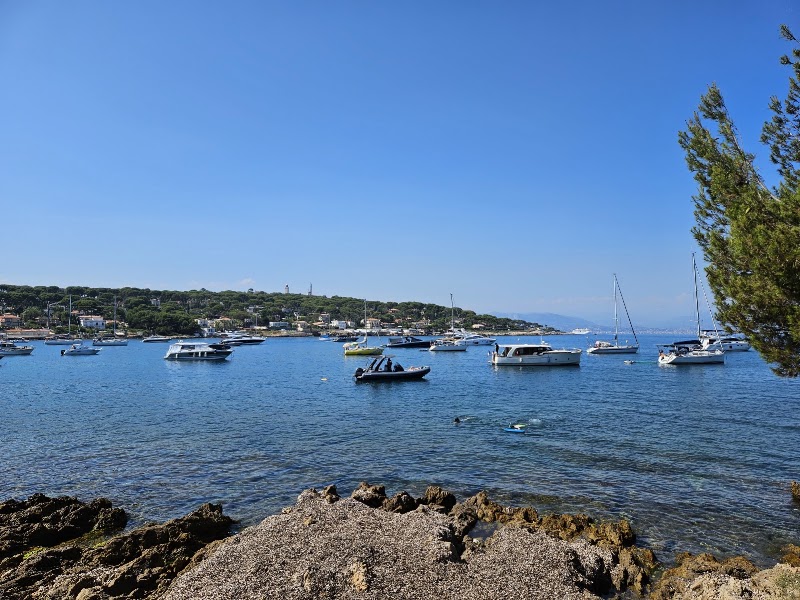 Plage de la Garoupe - Plage de la Garoupe Chem. de la Garoupe, 06160 Antibes, France