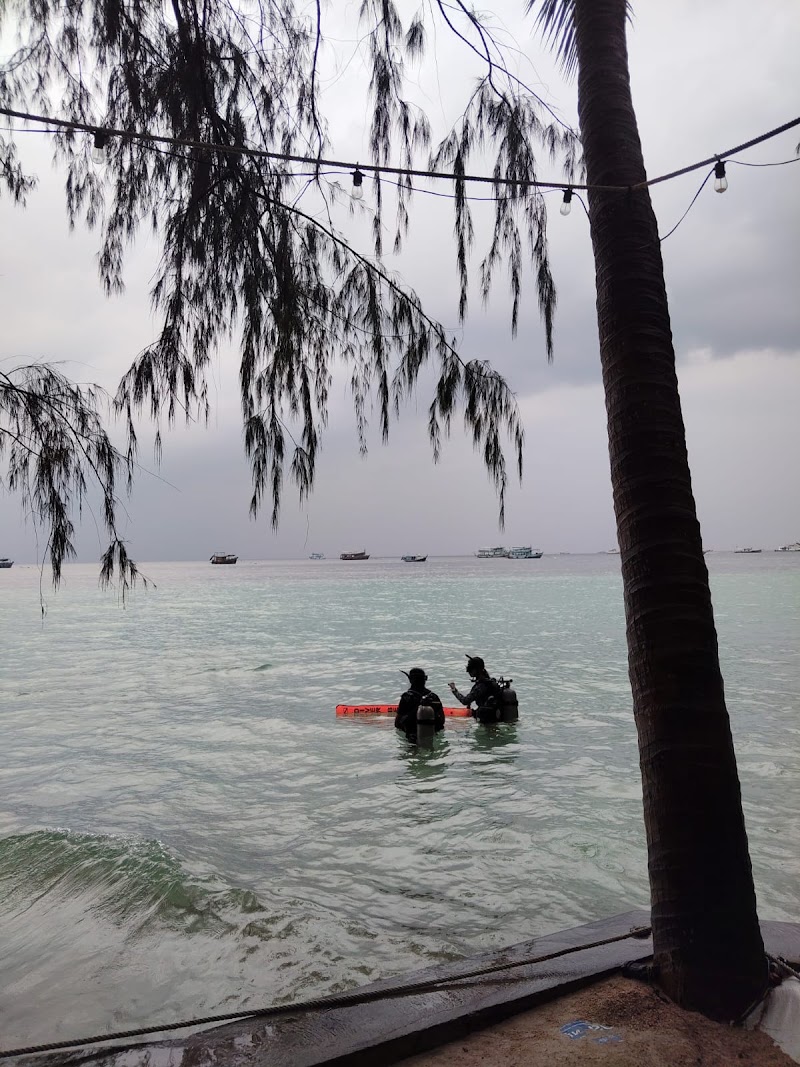 FIFTY SIX DIVE - FIFTY SIX DIVE, 10, Sairee Beach, 4, Tambon Ko Tao, Koh Tao, Chang Wat Surat Thani 84360, Thailand