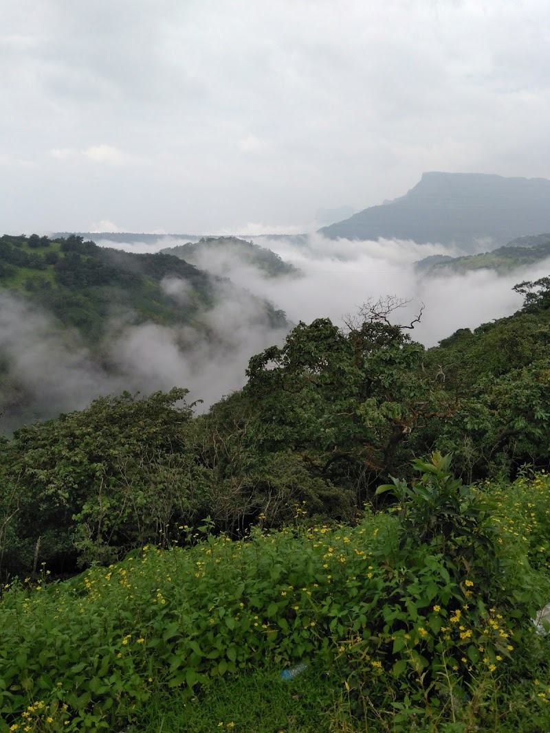 Tamhini Ghat Viewpoint - Tamhini Ghat Viewpoint, 4, Tamhini Ghat Rd, Tamhini, Maharashtra 412108, India