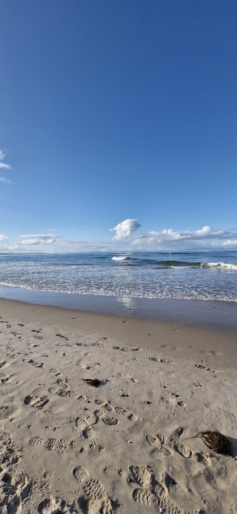 Findhorn Bay Local Nature Reserve - Findhorn Bay Local Nature Reserve, Forres IV36 3TD, UK