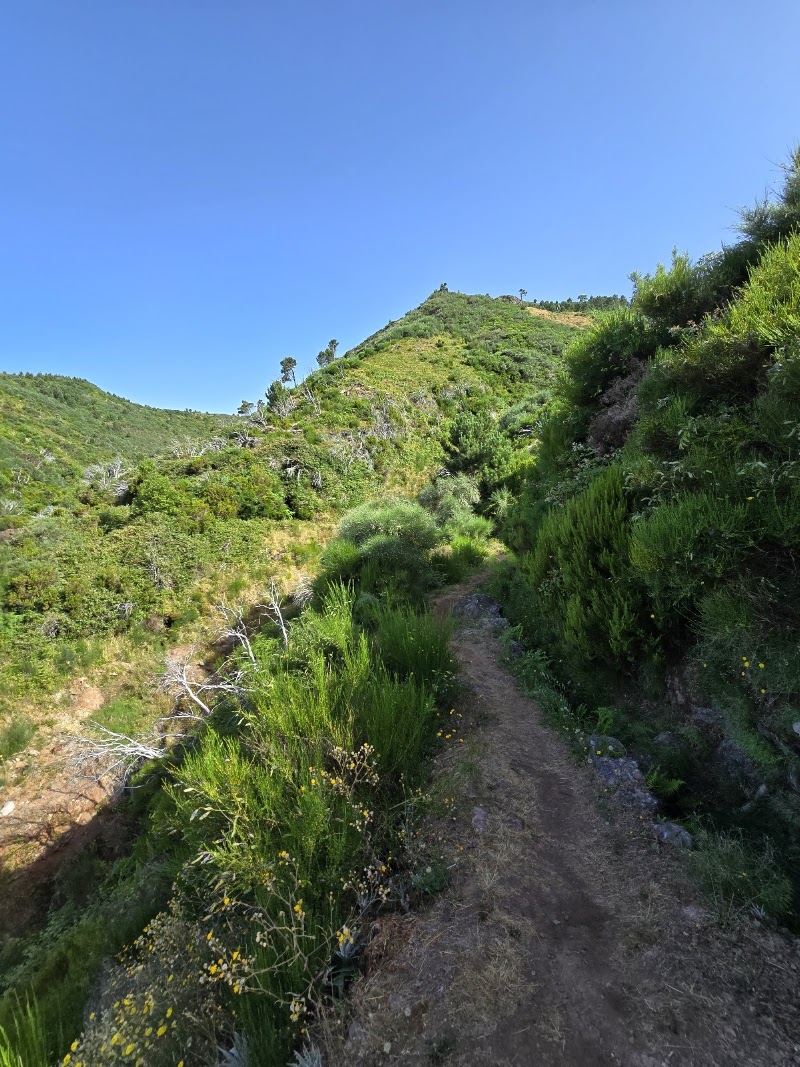 PR 3.1 Ribeira das Cales - PR 3.1 Ribeira das Cales Largo Fonte T 21 e 48, Monte, 9050-288 Funchal, Portugal