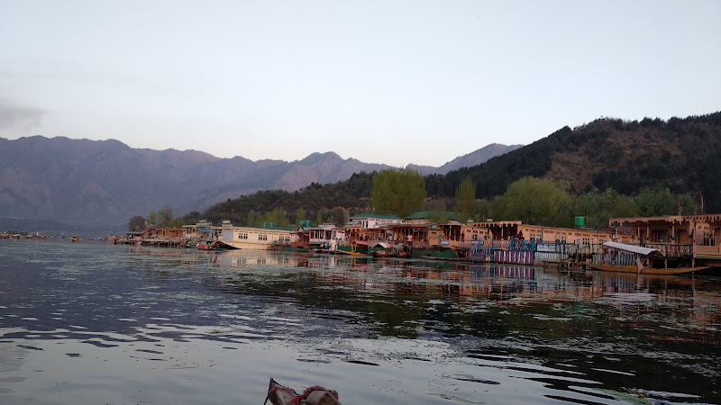 Young Shahzada Group of House boats - Young Shahzada Group of House boats, Golden Dal Lake, Boulevard Road, ghat no.09,, Srinagar,Kashmir, opp. New Park Hotel, Karapura, Rainawari, Srinagar, 190001