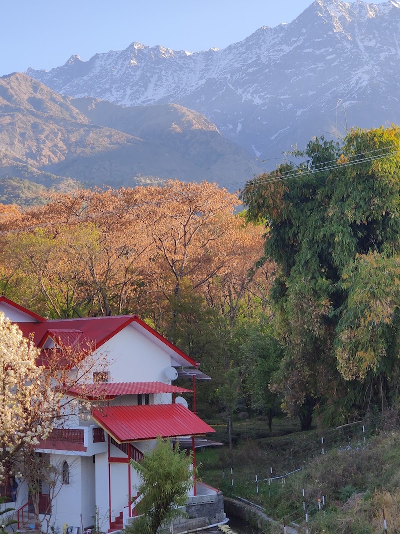 Treebo Ortus Residency - Treebo Ortus Residency Dharamsala Rd, Near Hotel Club Mahindra, Dari, Sheela Chowk, Hodal, Dharamshala, Himachal Pradesh 176215, India
