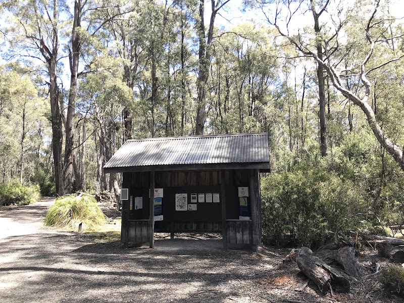 Lake Saint Clair - Lake Saint Clair, Lake St Clair, TAS 7140, Australia