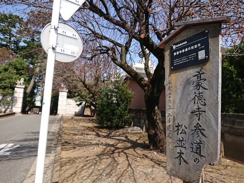 Gotokuji Temple Pine Approach - Gotokuji Temple Pine Approach 2 Chome-24 Gotokuji, Setagaya City, Tokyo 154-0021, Japan